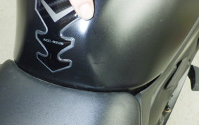KAWASAKI ZX-4R SE 2024 ZX400P