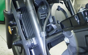 HONDA REBEL 250 2007 MC49