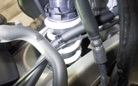 HONDA CBR250RR A MC51