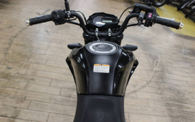 KAWASAKI Z125 PRO BR125H