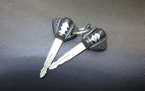 SUZUKI GSX-R1000 2015