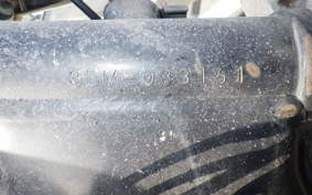 YAMAHA VIRAGO 250 3DM