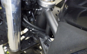KAWASAKI Z250 Gen.2 2019 EX250P