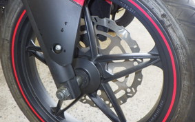 OTHER +メガリ250R