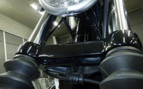 HARLEY XL883N 2015