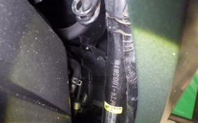 HONDA ﾀﾞﾝｸ 2024 AF74