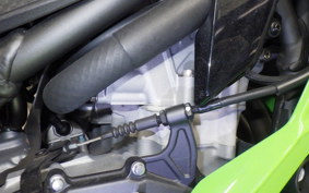 KAWASAKI ZX-4RR 2025 ZX400P