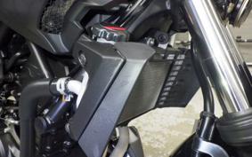 YAMAHA MT-25 2010 RG43J