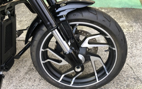 HARLEY FLSB 2021 YMJ