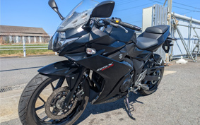 SUZUKI GSX250R DN11A