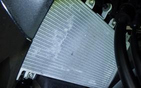 KAWASAKI NINJA 250 2 2006 EX250P