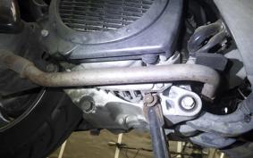 HONDA LEAD 110 2024 JF19