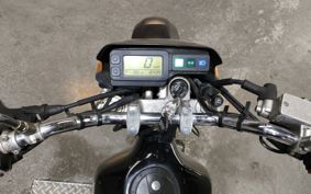 KAWASAKI SUPER SHERPA KL250G