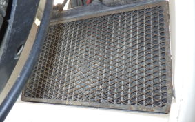 YAMAHA TZR250 2010 1KT