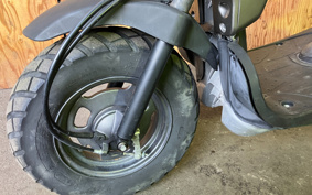 HONDA ZOOMER SPECIAL EDITION AF58