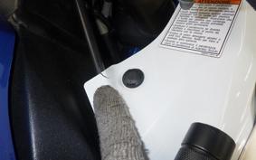 SUZUKI GSX-R1000 2010