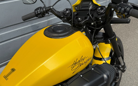 HARLEY  HARLEY FXDRS 2018 YVK