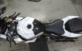 SUZUKI GSX-R1000 2010