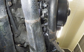 YAMAHA RZ250R 2009 29L