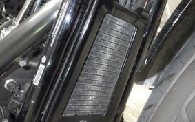 HARLEY FXLRS1870 2021