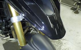 TRIUMPH TIGER 1200 RALLY 2024