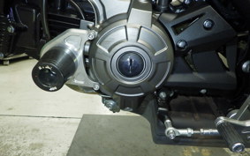KAWASAKI Z125 PRO 2007 BR125H