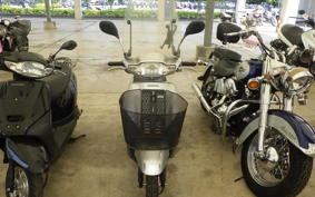 HONDA TACT Basket AF79
