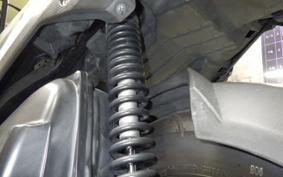 HONDA ZOOMER-X 2024 JF52