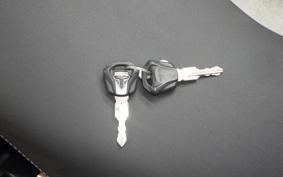 TRIUMPH TIGER 800 2019