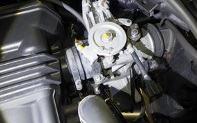 KAWASAKI NINJA 250 EX250L