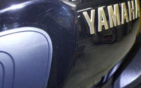 YAMAHA XSR125 2024 RE46J