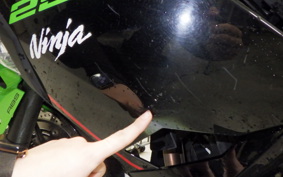 KAWASAKI NINJA 250 2 2019 EX250P
