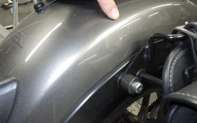 HONDA REBEL 250 S 2007 MC49