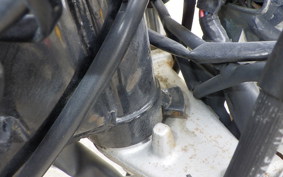 YAMAHA VIRAGO 250 TRIKE 3DM