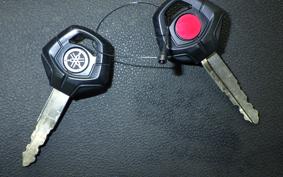 YAMAHA TENERE 700 2020 DM09J