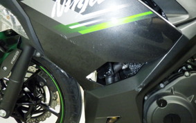 KAWASAKI NINJA 250 2022 EX250Y
