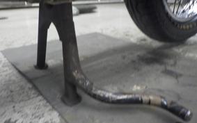 KAWASAKI Z900 2025 Z1F