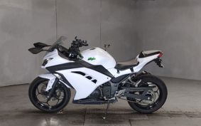KAWASAKI NINJA 250 EX250L