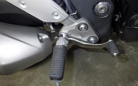 YAMAHA FZ1 FAZER 2010 RN21J