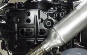 YAMAHA TW225 2022 DG09J