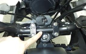 SUZUKI V-STROM 250