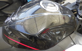 KAWASAKI NINJA 250 EX250P