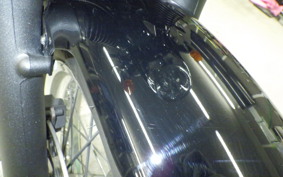 KAWASAKI W800-2ｽﾄﾘｰﾄ 2021 EJ800E