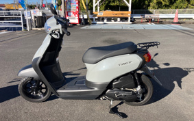HONDA  TACT  BASIC  AF79