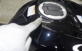 KAWASAKI NINJA ZX-6R A 2025 ZX636J