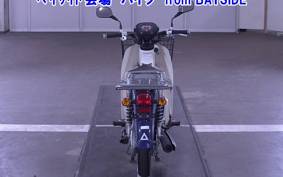 OTHER C110PU LOW 3