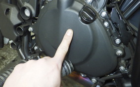 KAWASAKI ELIMINATOR400-3 2024 EL400A