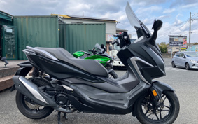 HONDA  FORZA 250 MF15