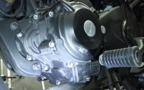 HONDA REBEL 250 S MC49