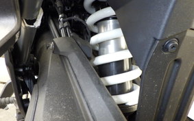 BMW R1300GS Adventure 2024